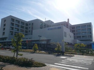 八幡前駅 徒歩14分 2階の物件内観写真